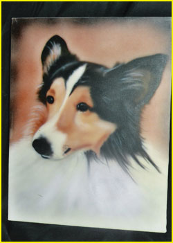 Collie Portrait