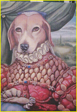 Dog Portrait