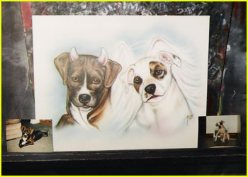 Pitbulls