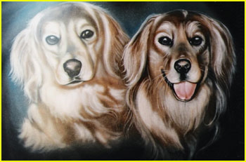 Pet Portrait