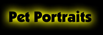 Pet Portraits