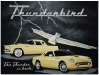 mural-thunderbird