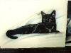 black-kitty