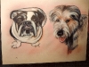 dog-pair