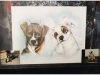 pet-portraits-devil-angel-pitbulls